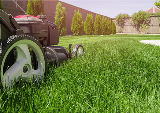 Lawn Mower Cutting Grass